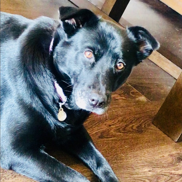 ***NOT FOR SALE*** - Picture 6 of 8